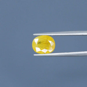 Yellow Sapphire - 5.66 Carats