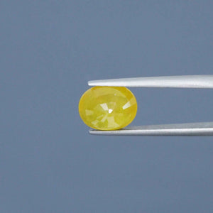 Yellow Sapphire - 6.28 Carats