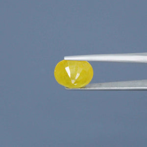 Yellow Sapphire - 7.83 Carats