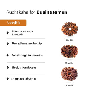 Rudraksha for Businessmen (Marketing & Finance)