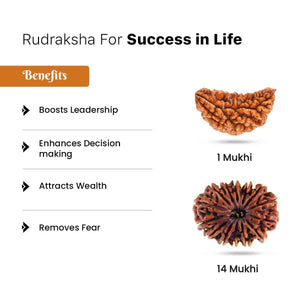 Rudraksha for Success in Life