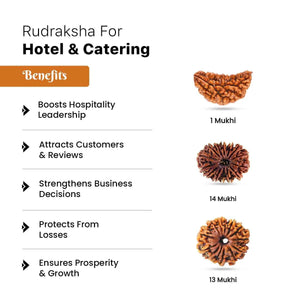 Rudraksha for Hotel & Catering