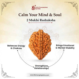 2 Mukhi Rudraksha – Symbol of Harmony & Relationship Balance