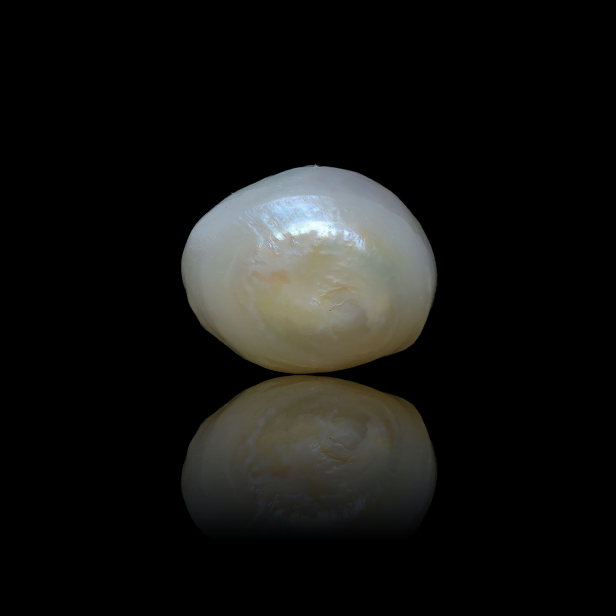 Fresh Water Pearl-19.42 Carats