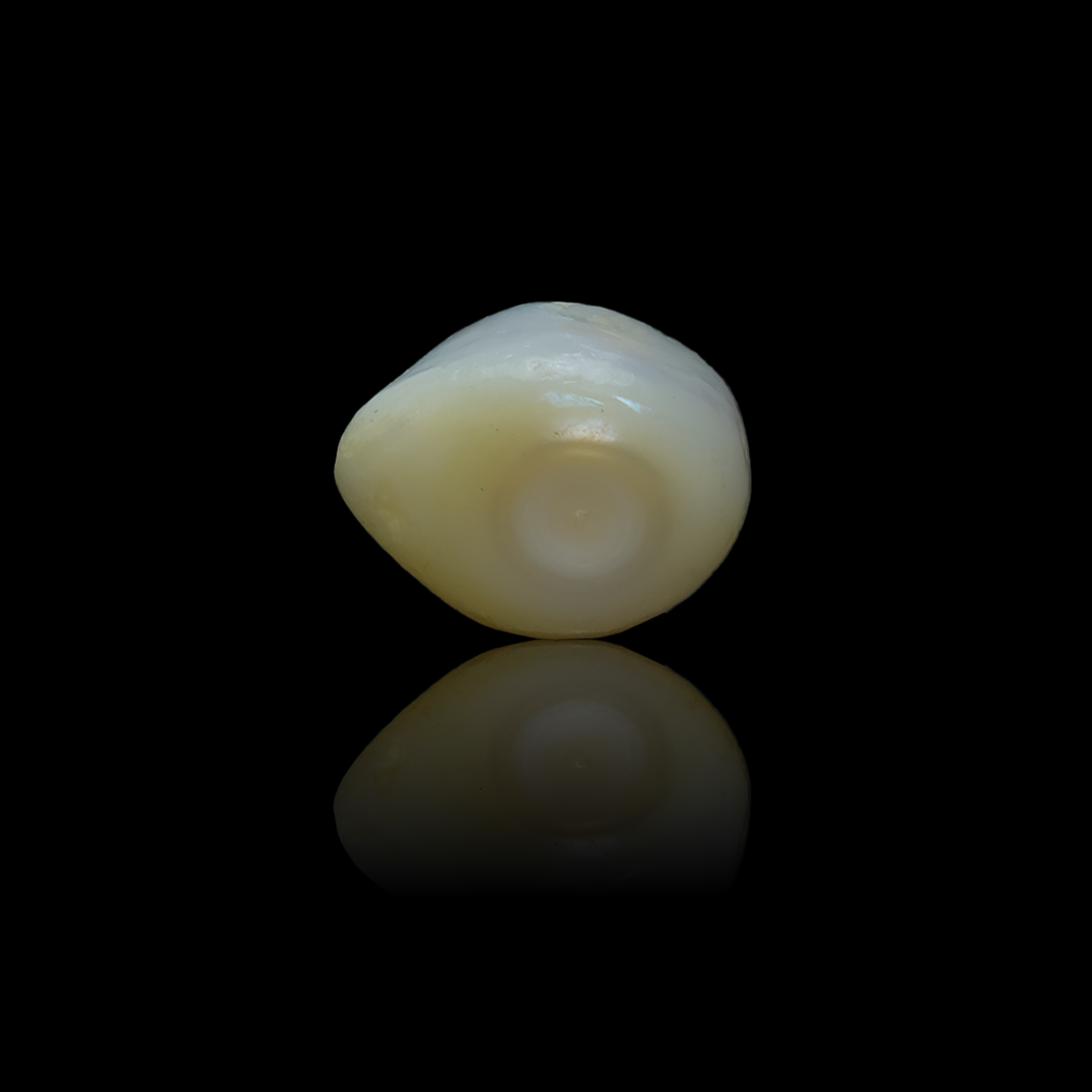 Fresh Water Pearl-4.99 Carats
