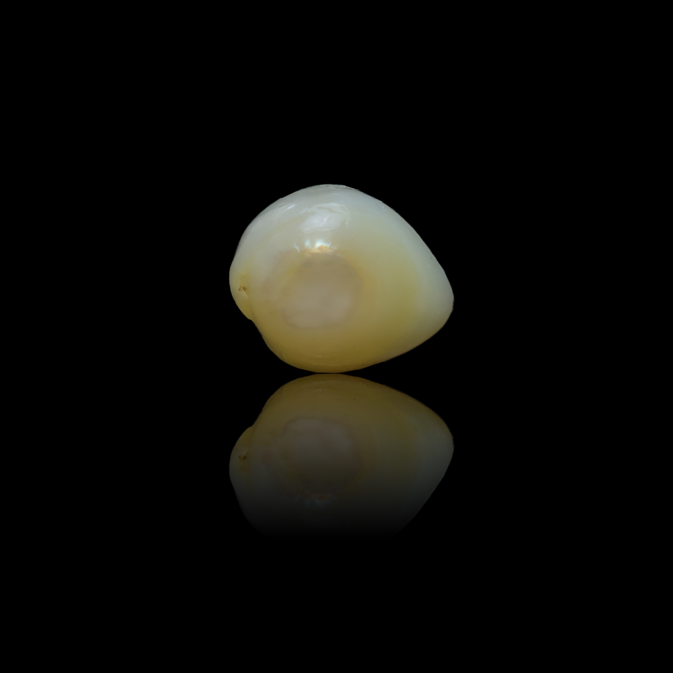 Fresh Water Pearl-4.84 Carats
