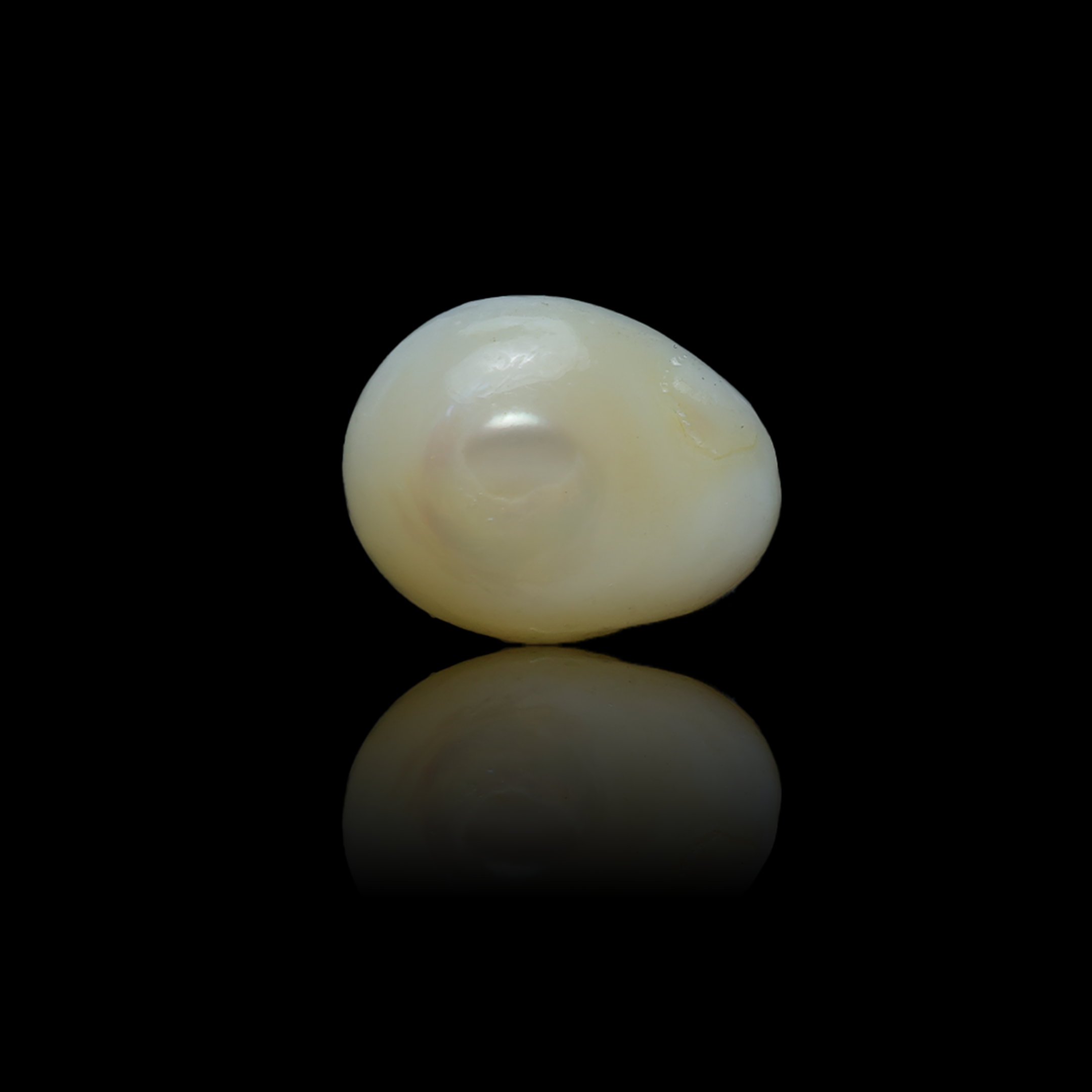 Fresh Water Pearl-6.91 Carats