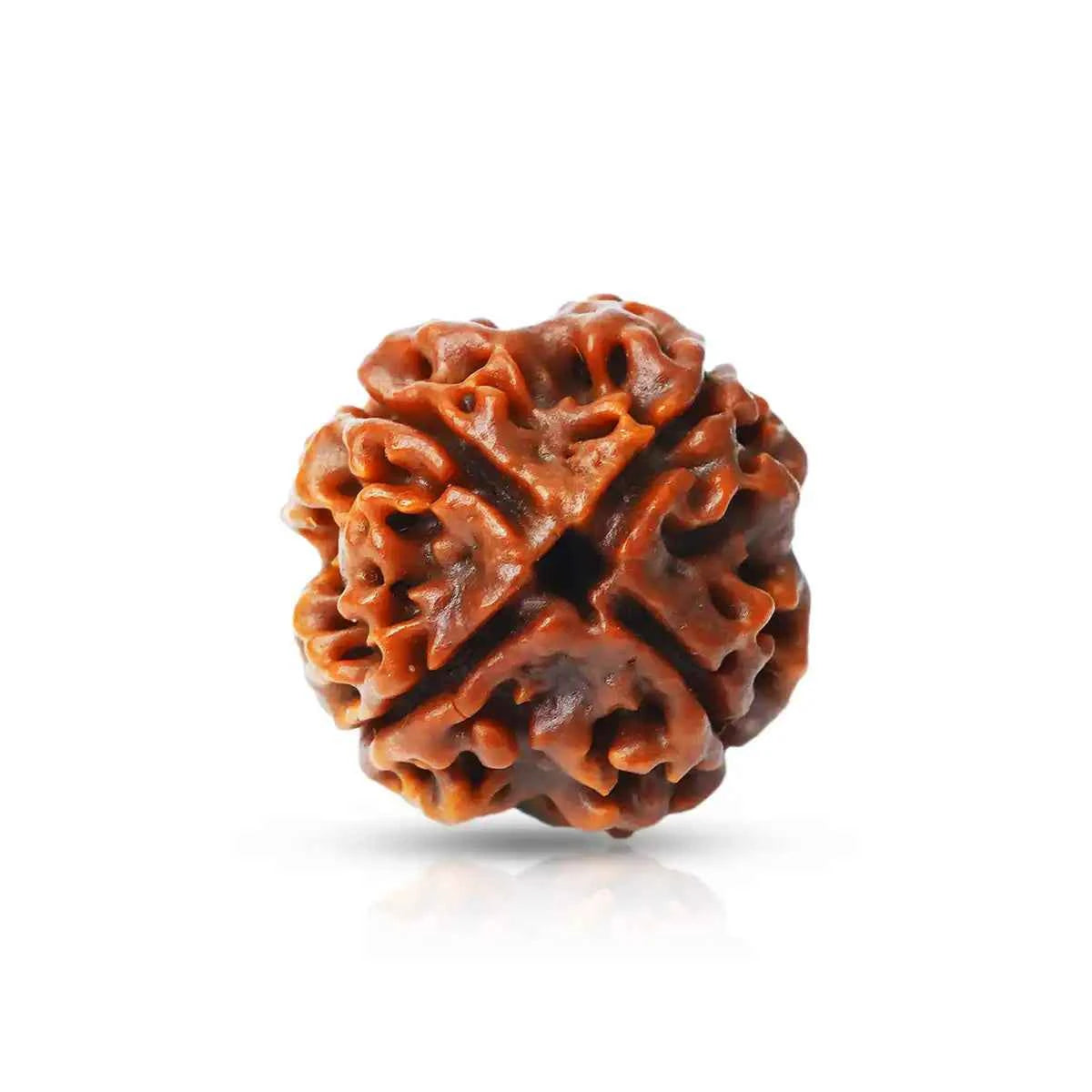 4 Mukhi Rudraksha (Nepal Origin) – Bead of Knowledge, Speech & Expression