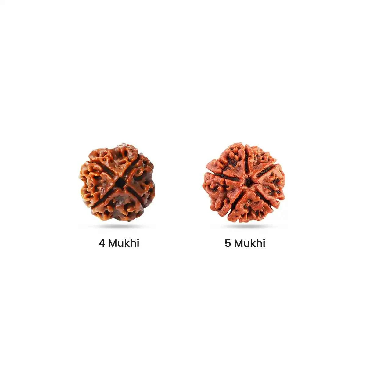 Rudraksha for Hard Work / Practical Plane