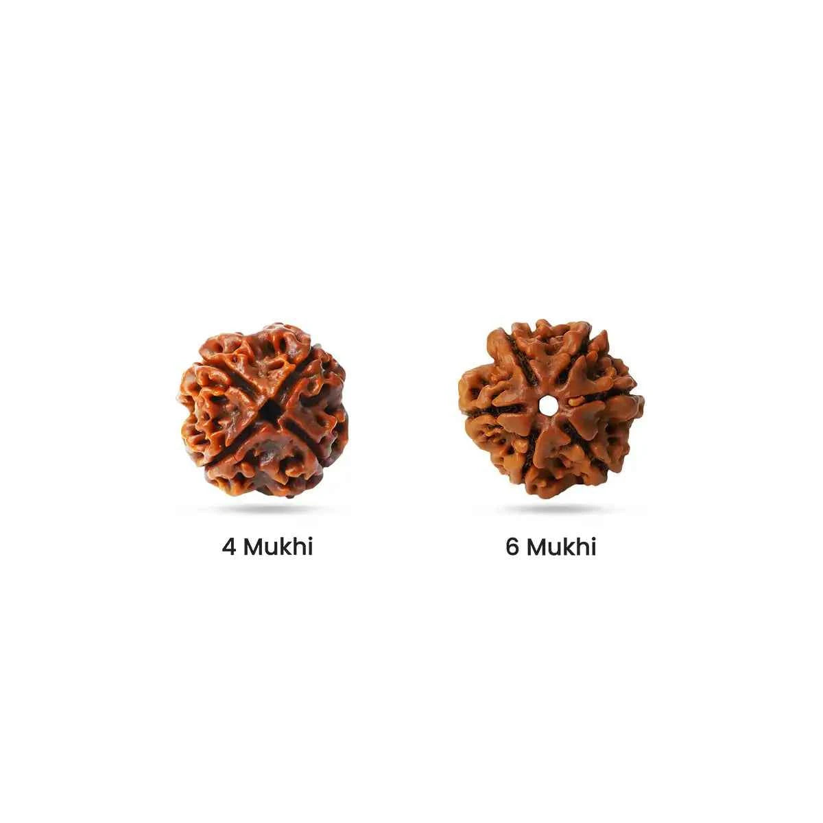 Rudraksha for Emotional / Heart Plane