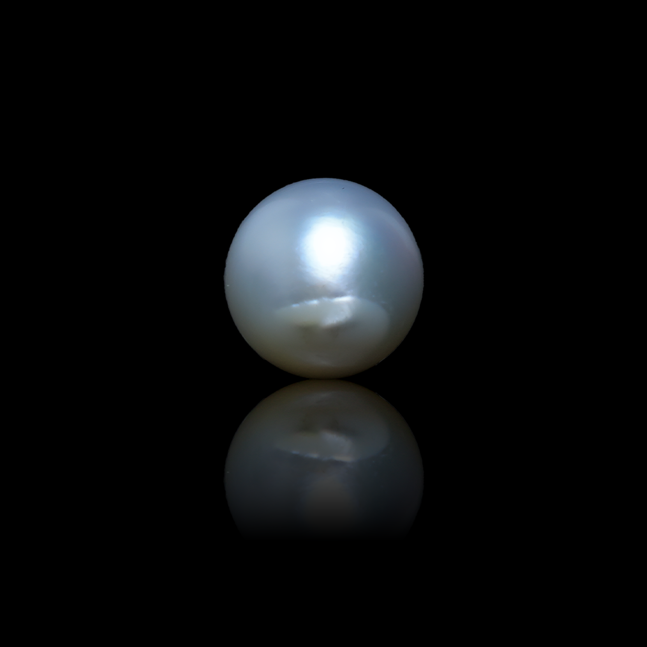 South Sea Pearl - 5.84 Carats