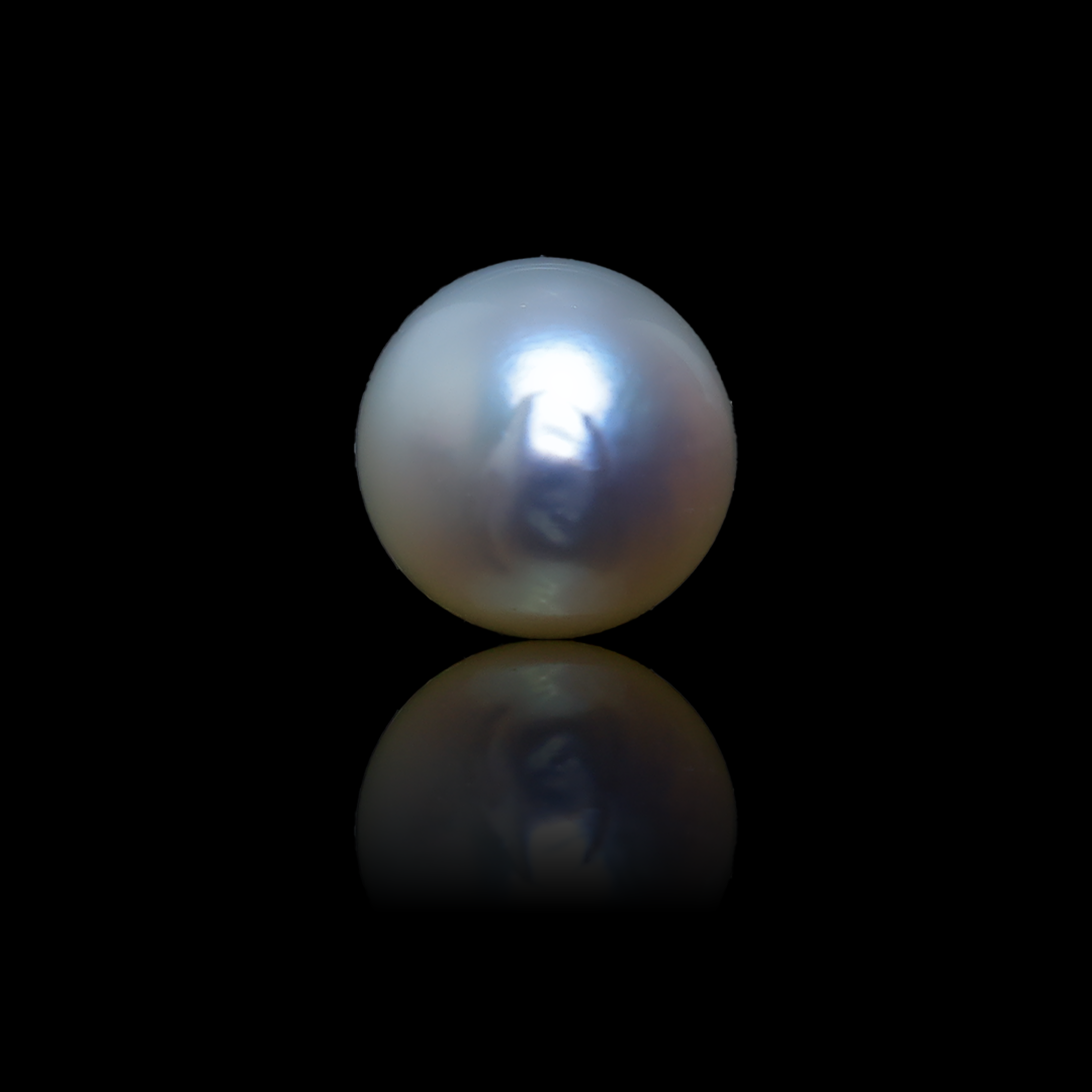 South Sea Pearl - 4.14 Carats