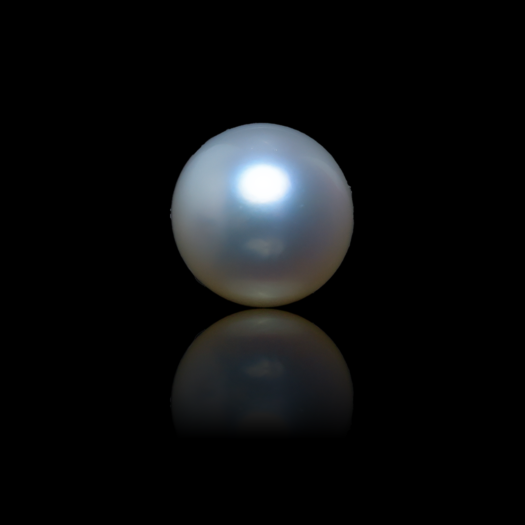South Sea Pearl - 4.14 Carats
