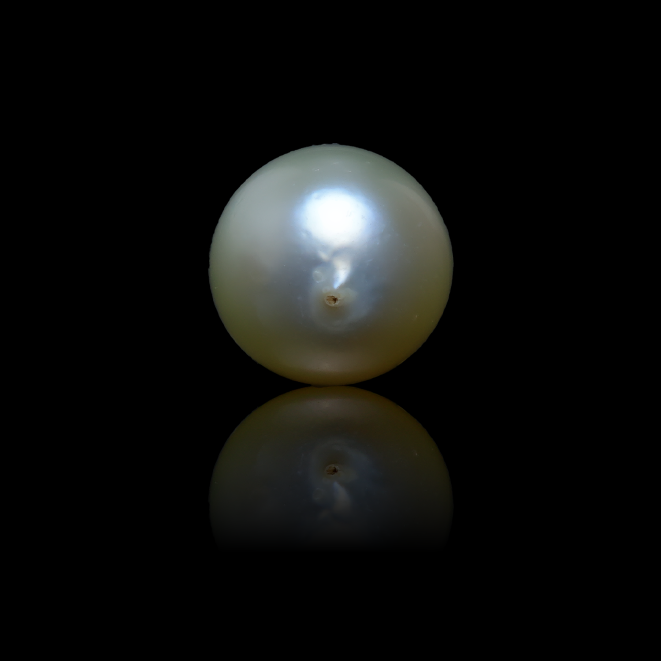 South Sea Pearl - 6.31 Carats