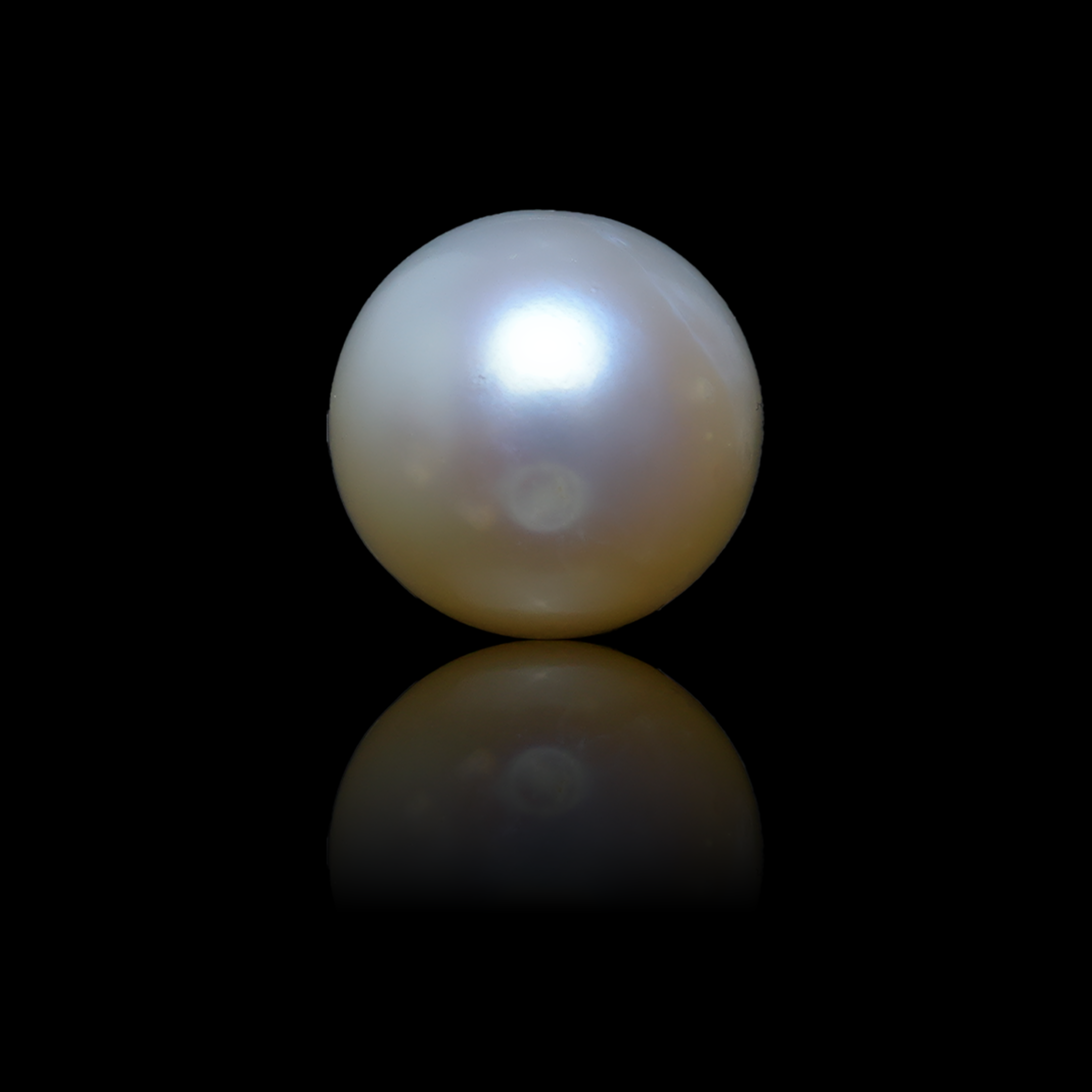 South Sea Pearl - 6.78 Carats