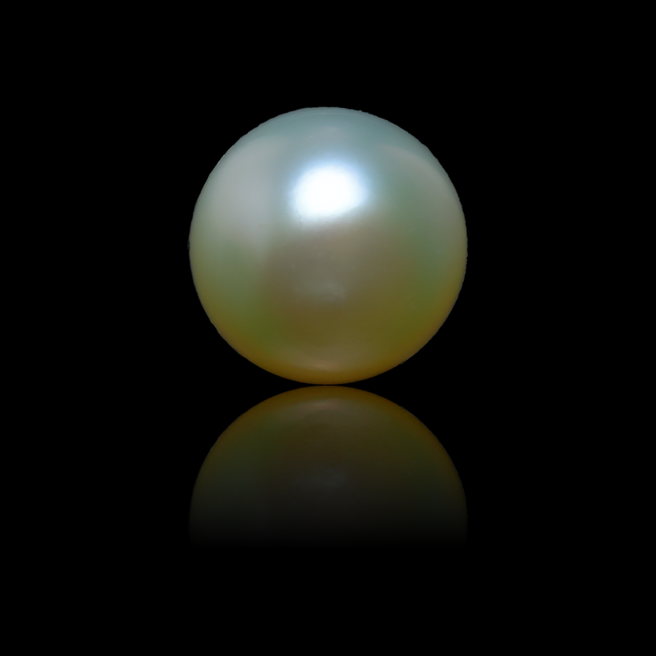 South Sea Pearl - 5.3 Carats