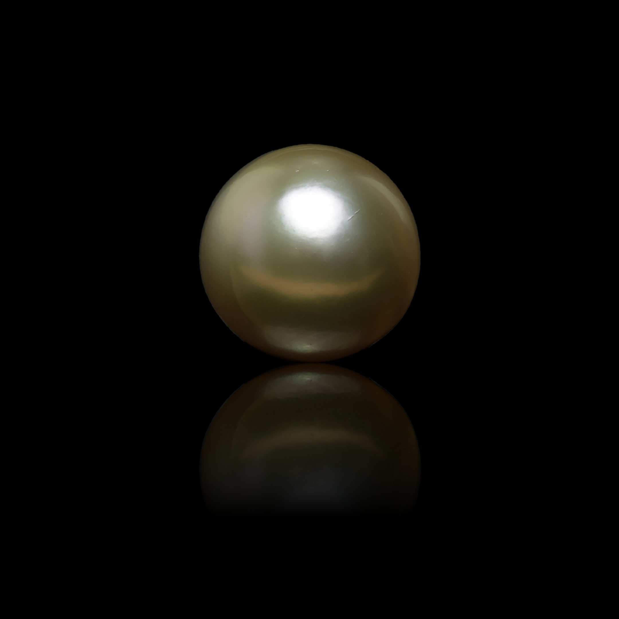 South Sea Pearl - 8.74 Carats