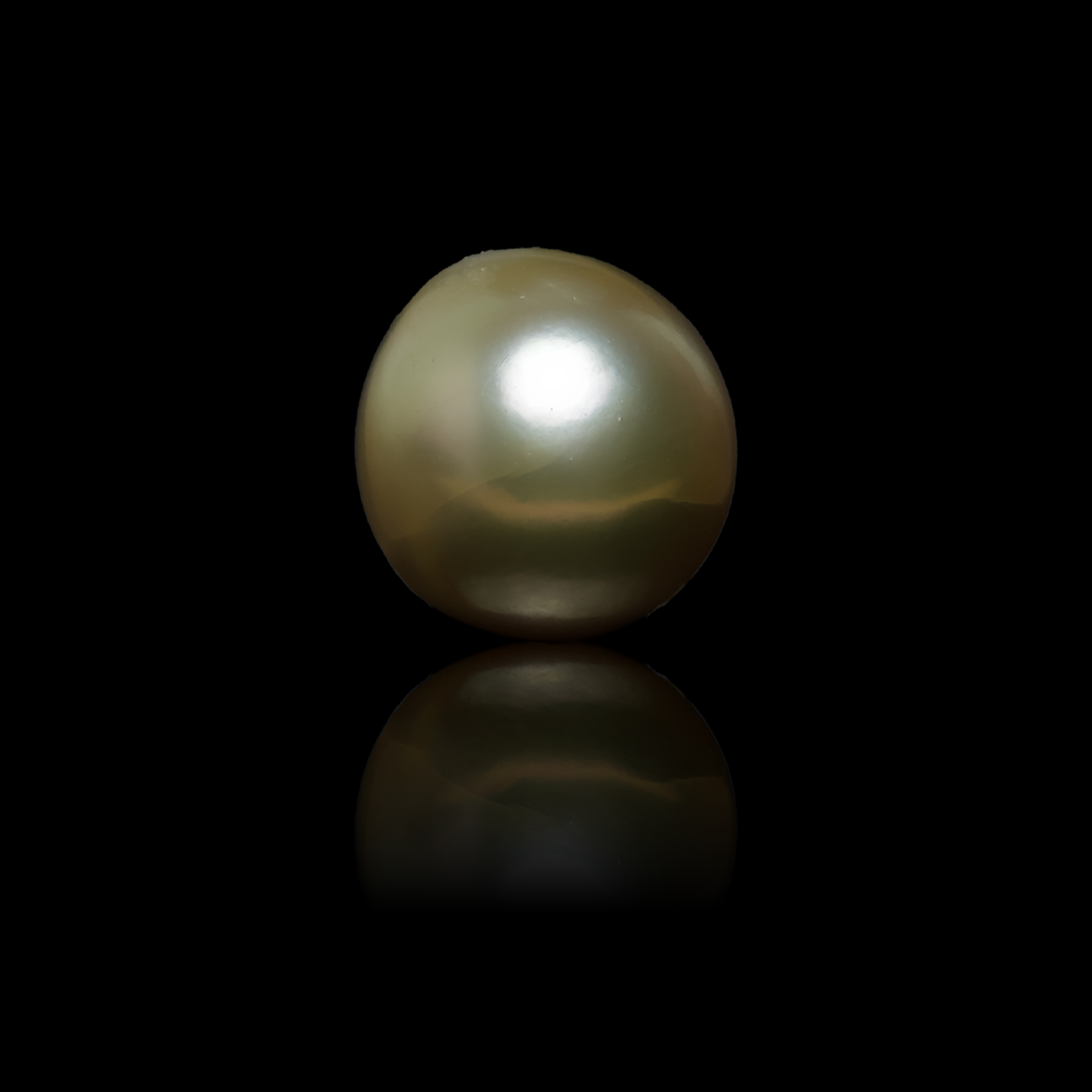South Sea Pearl - 6.02 Carats