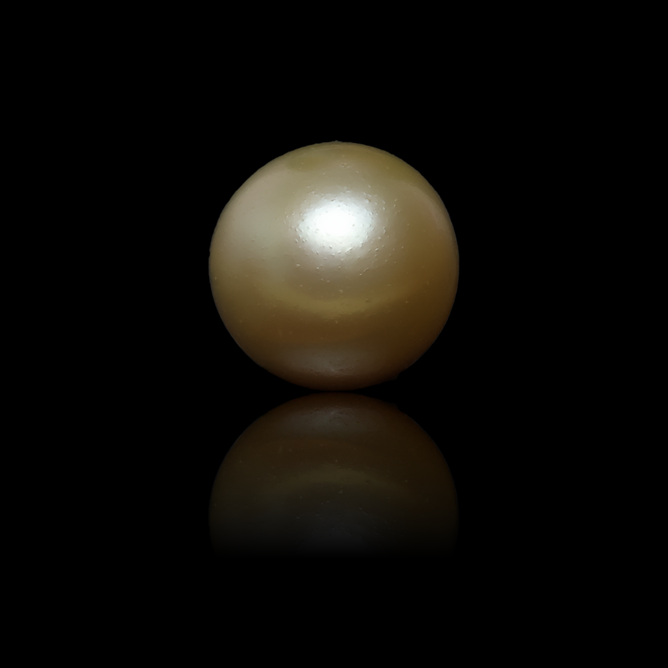 South Sea Pearl - 6.44 Carats