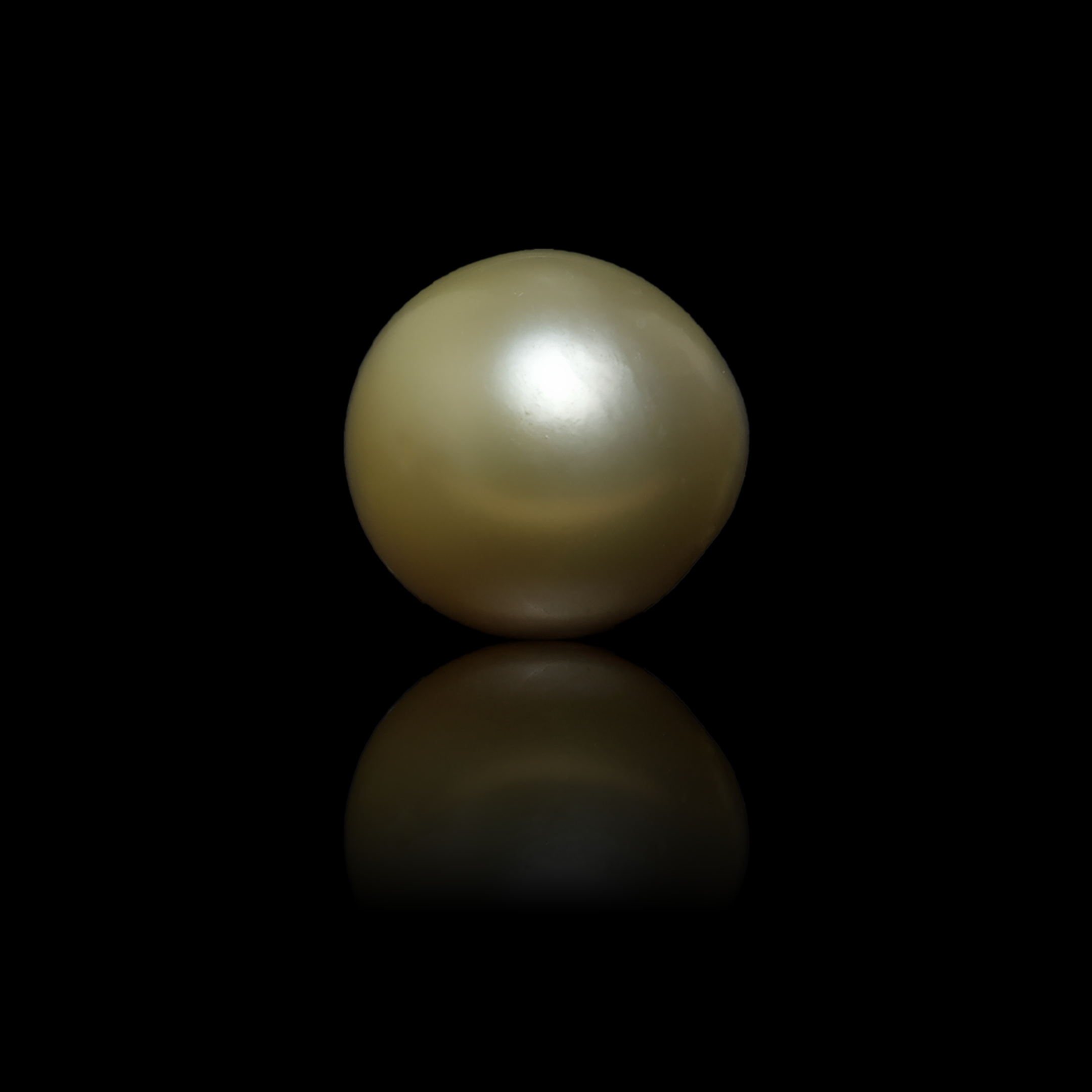 South Sea Pearl - 5.65 Carats