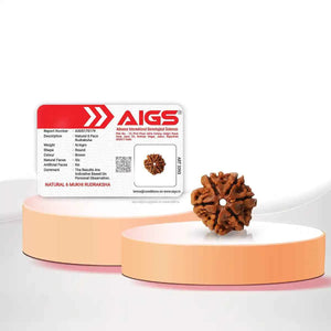 6 Mukhi Rudraksha (Nepal Origin) – Bead of Willpower & Attraction