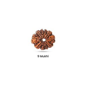 Rudraksha for Action Plane
