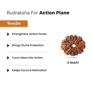 Rudraksha for Action Plane