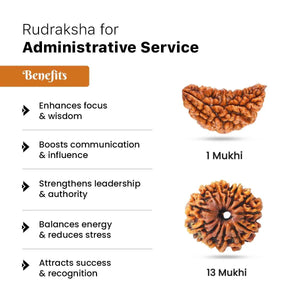 Rudraksha For Administrative Service