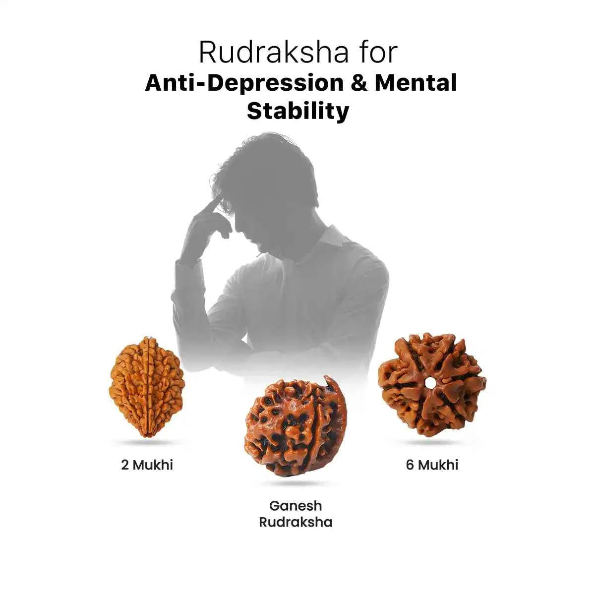 Rudraksha for Anti-Depression & Mental Stability
