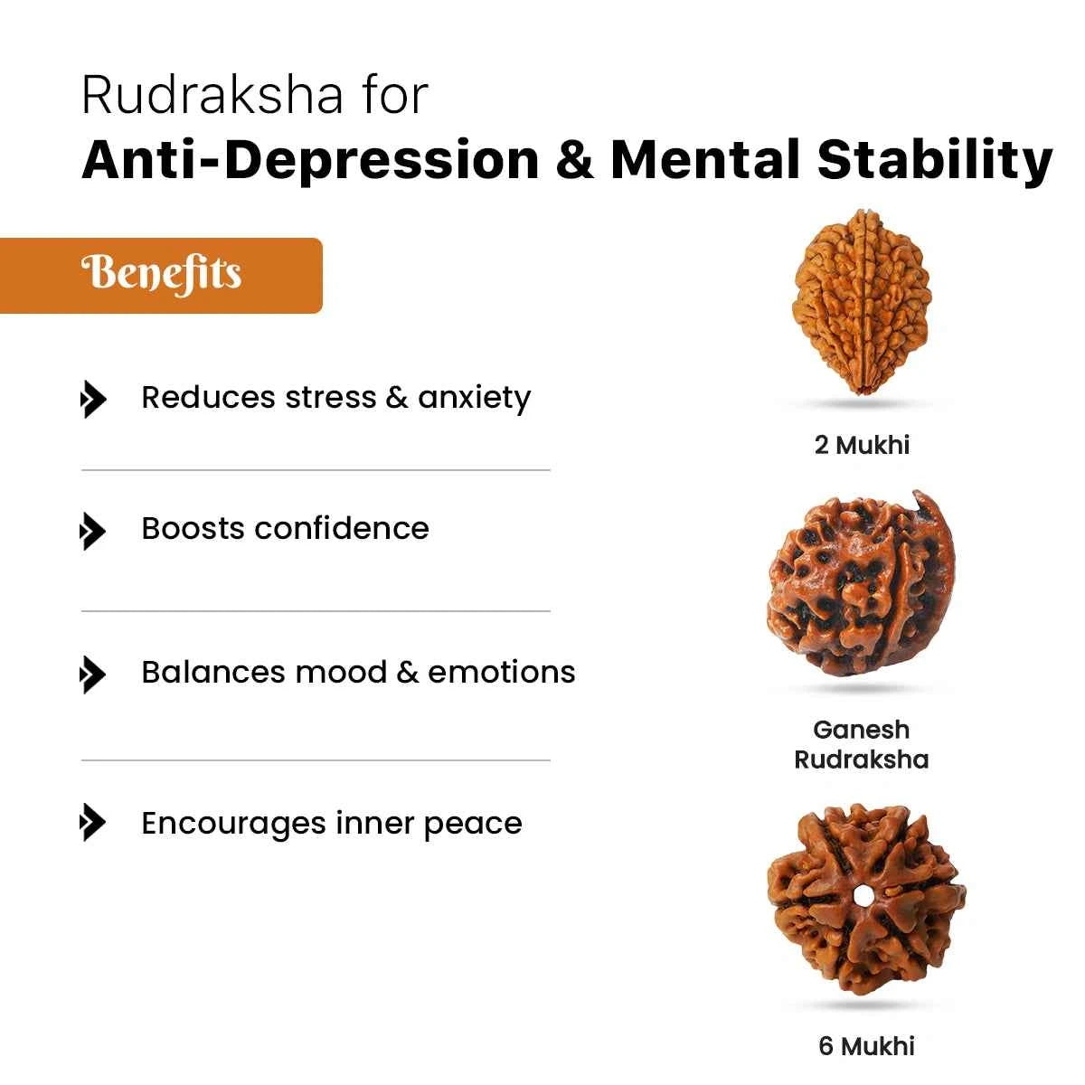 Rudraksha for Anti-Depression & Mental Stability