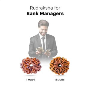 Rudraksha for Bank Managers