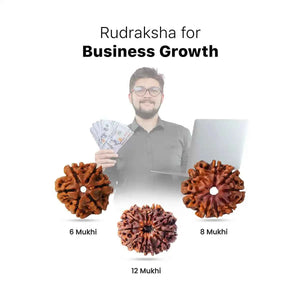 Rudraksha for Business Growth