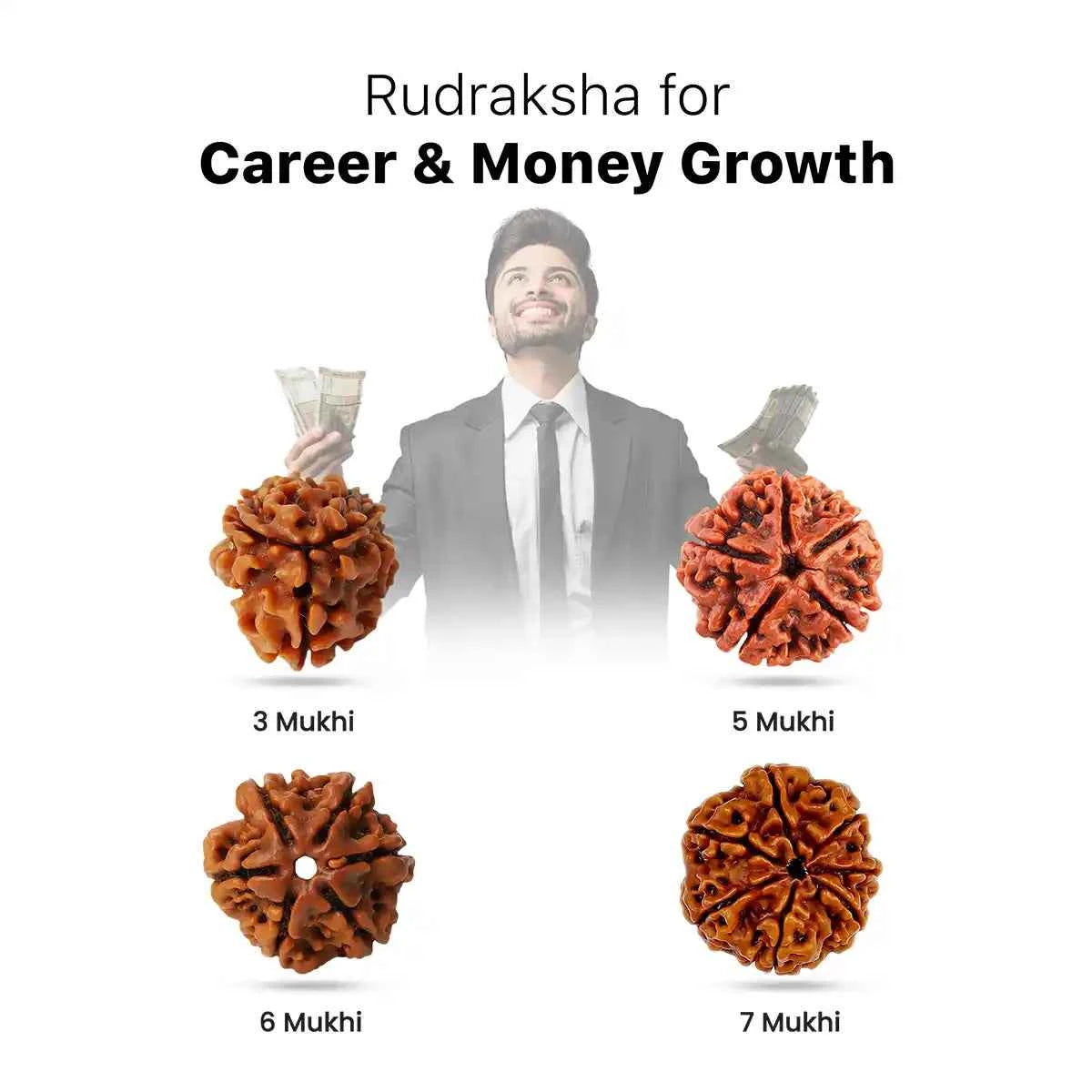 Rudraksha for Career & Money Growth