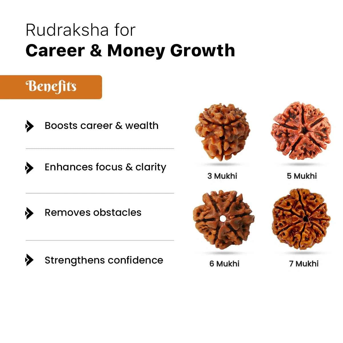 Rudraksha for Career & Money Growth