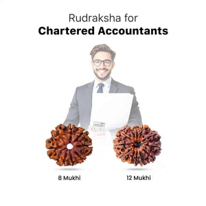 Rudraksha for Chartered Accountants