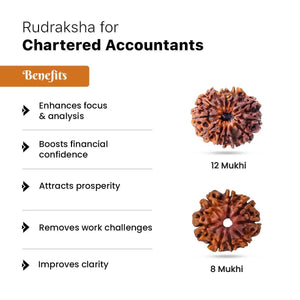Rudraksha for Chartered Accountants