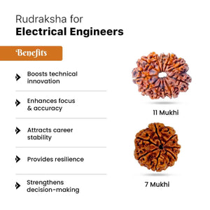 Rudraksha for Electrical Engineers