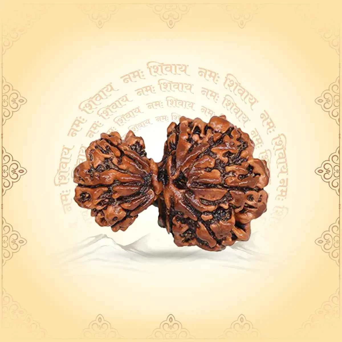 Garbh Gauri Rudraksha – Divine Mother-Child Connection Bead