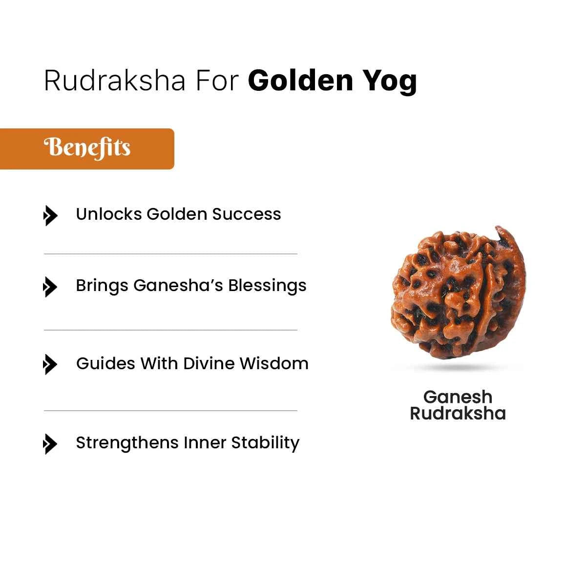 Rudraksha for Golden Plane