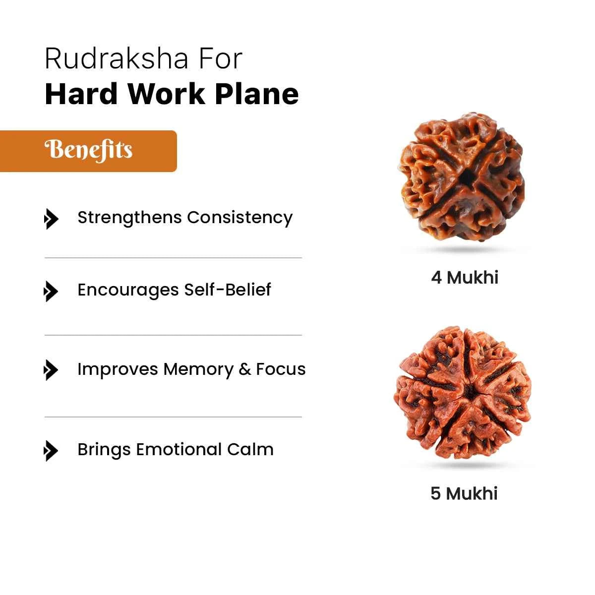 Rudraksha for Hard Work / Practical Plane