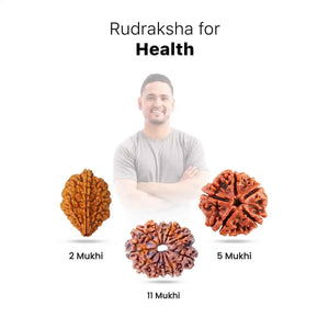 Rudraksha for Health