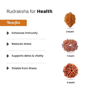 Rudraksha for Health