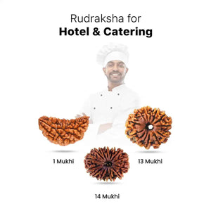 Rudraksha for Hotel & Catering