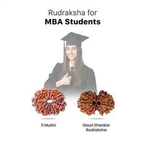 Rudraksha for MBA Students
