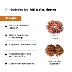 Rudraksha for MBA Students