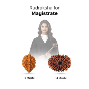 Rudraksha for Magistrate