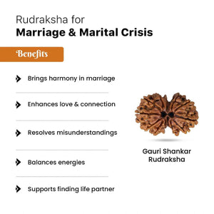 Rudraksha for Marriage & Marital Crisis
