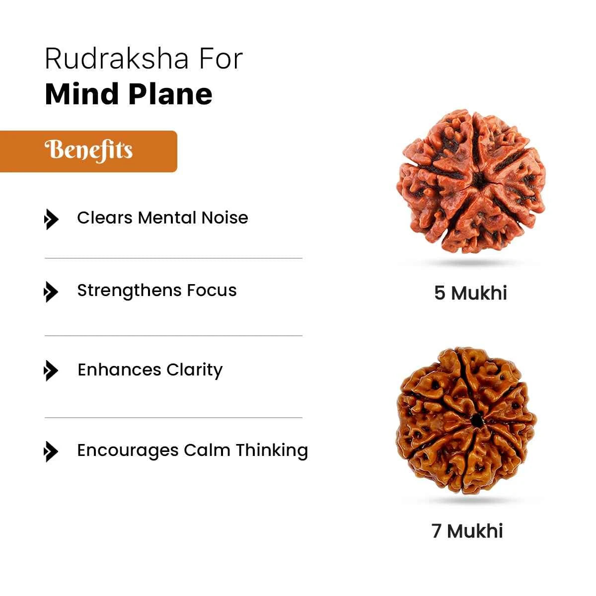 Rudraksha for Mind Plane
