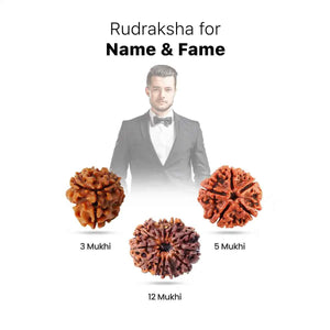 Rudraksha for Name & Fame