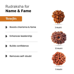 Rudraksha for Name & Fame
